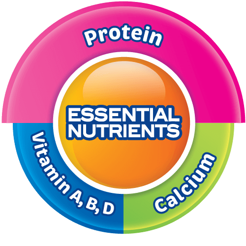 essential nutrients protein